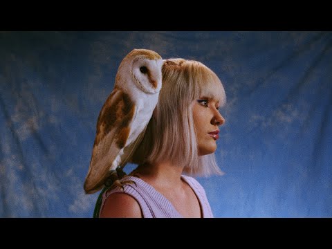 Sandra Czuraj - ptaki