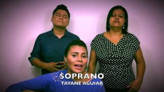 MURALHAS (walls) - André Valadão (Cover + Tutorial) VOCATO #109