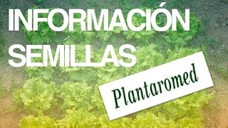 Plantaromed - baratza landareen inguruko tailerra