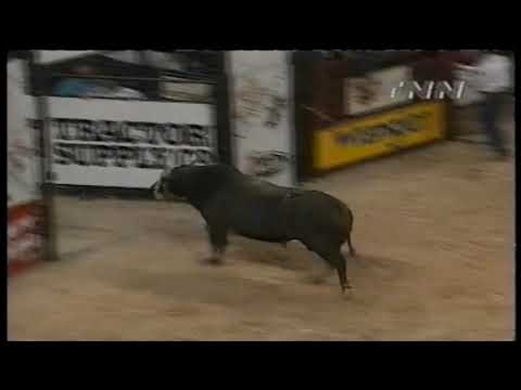 Gambler bucks Reed Corder - 99 PBR Finals