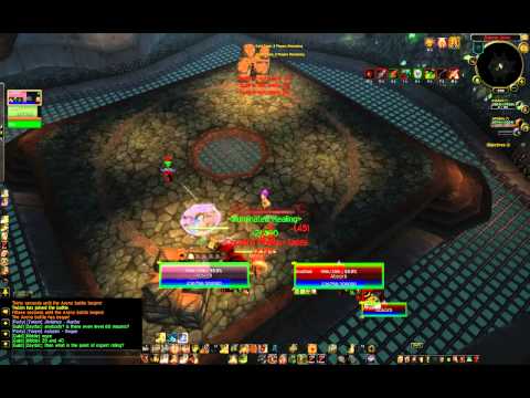 Holy Paladin/BM Hunter vs. BM Hunter/Rogue 2v2 arena pvp