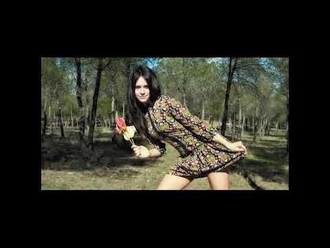 Terence McKenna  - True Hallucinations