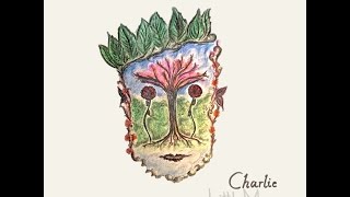 Little Moon | Charlie