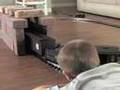 Union Pacific Limited Edition Die Cast Train Set ...