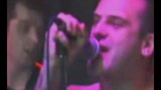 screeching weasel - supermarket fantasy