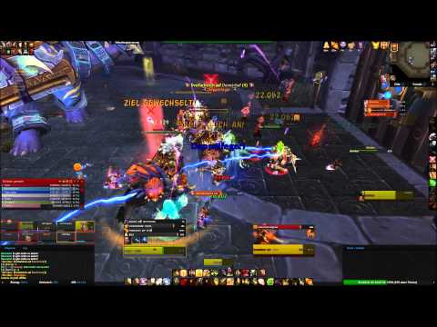 Critter der Kokosnuss vs. Horridon Eu Nathrezim 10 man (Prot Pala)