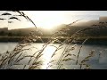 Chithi Na Koi Sandesh Jagjit Singh WhatsApp Short