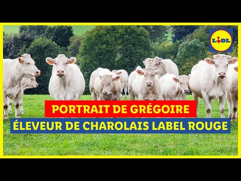 Musique pub Lidl Portrait de Grégoire, éleveur de charolais Label Rouge
juillet 2021