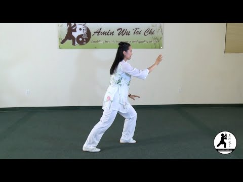 Wu-Style Tai Chi 24 Form (Full Demonstration)