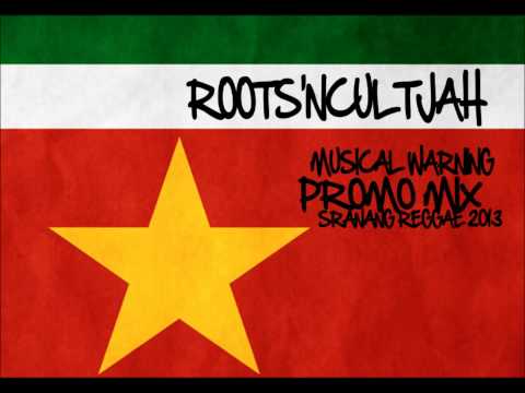 Roots'NCultjah -  Musical Warning Promo Mix