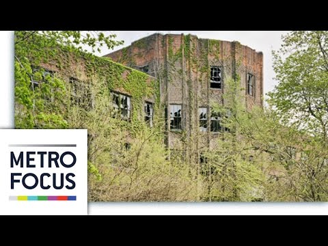 Trip to uninhabited island in East River