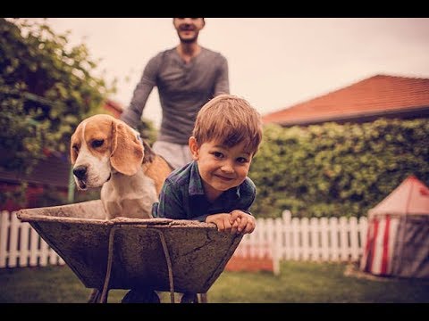 10 Great Dog Breeds for Kids | Care.com