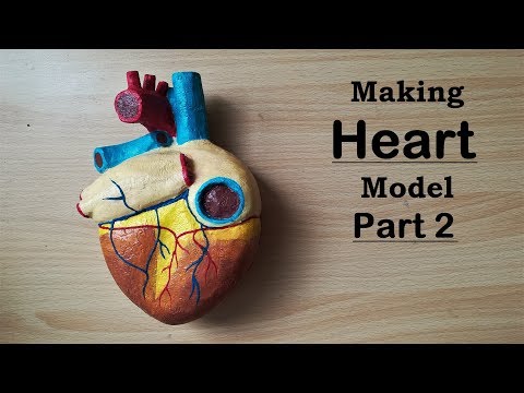 Making Human Heart Model | Part 2/2 | Holiday Homework
