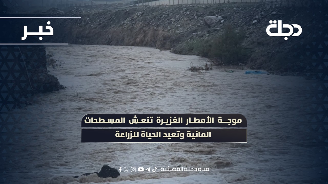 فيديو | موجة الأمطار الغزيرة تنعش المسطحات المائية وتعيد الحياة للزراعة