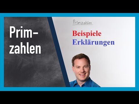 Understanding prime numbers and examples | www.gut-erklärt.de