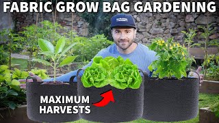 How To Use Fabric GROW BAGS For The Container Garden Of Your