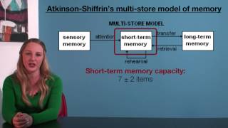 VCE Psychology - Atkinson-Shiffrin's Multi-Store Model of Memory