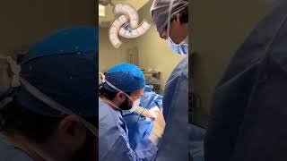 Otoplastia en Valencia.