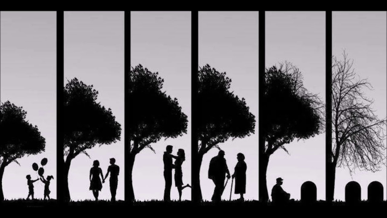 Sam Harris on death  - You've got this one opportunity to fall in love with existence