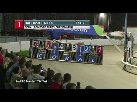 2021 ROMFORD PUPPY CUP - 3RD SEMI -T1 BROOKSIDE RICHIE