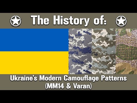 Borders, Frogs, Predators, Lizards & Pixels: Ukraine’s Search for a Standardized Camouflage Pattern