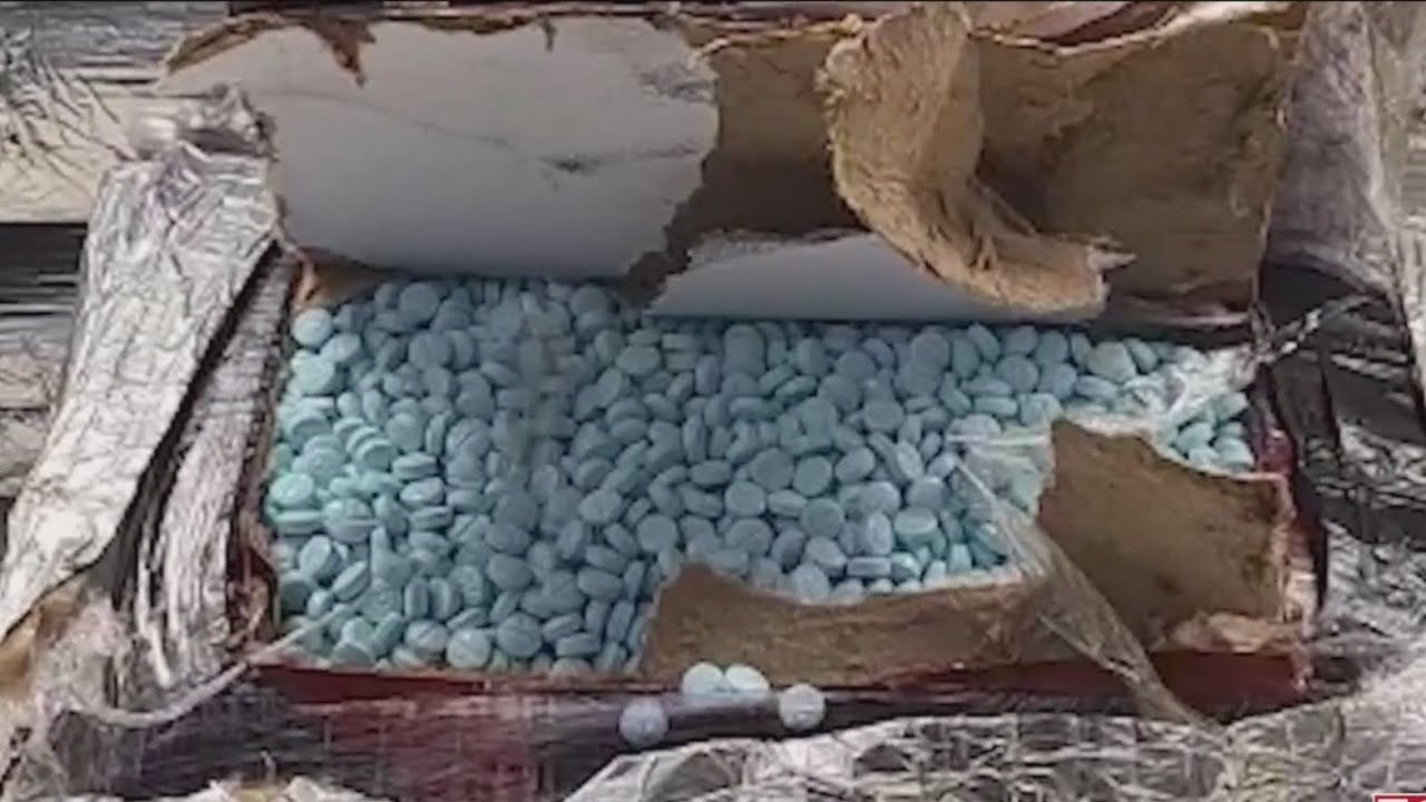 California announces large fentanyl, drug seizures