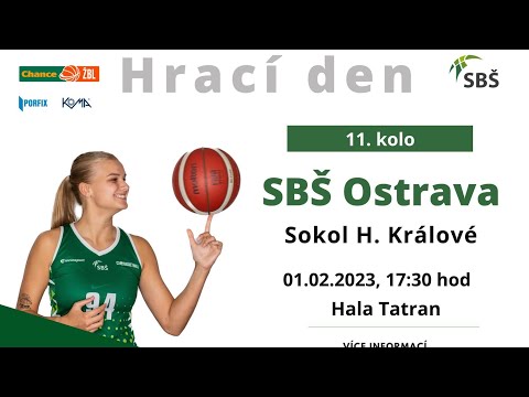 TK | SBŠ Ostrava vs. Hradecké lvice