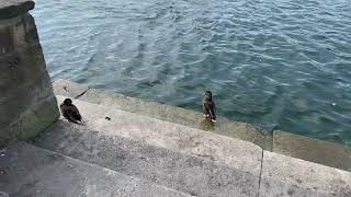 Maschsee - Hannover 8.2022 (Part2)