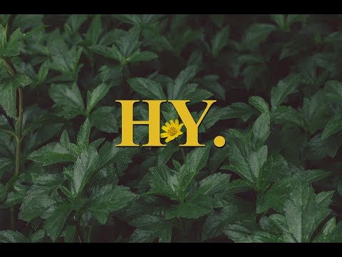 [timebottle_playlist] âm nhạc của Hy. mang một nỗi buồn thật đẹp | Chill Vietnamese ballad