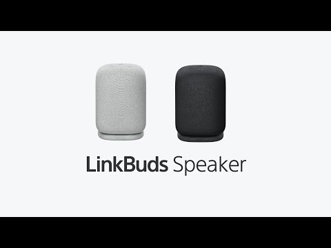 ブルートゥーススピーカー LinkBuds Speaker ブラック SRS-LS1 ブルートゥーススピーカー LinkBuds Speaker ブラック SRS-LS1