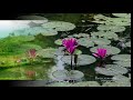দৃষ্টি মোদের যায় যত দূর Dristi Moder Jay Joto Dur
