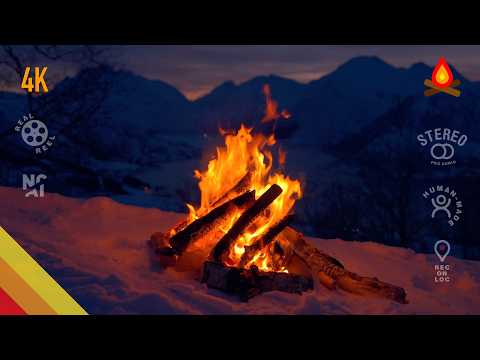 Arctic alpine twilight 🔥 CAMPFIRE (12 hours - NO AI)