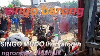 Download lagu LIVE!! SINGO MUDO Galak sigrak singo barong Kaloran Ngronggot Nganjuk mp3 Download lagu LIVE!! SINGO MUDO Galak sigrak singo barong Kaloran Ngronggot Nganjuk mp3