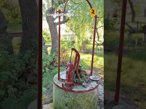 Chacra en Montevideo