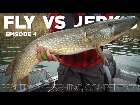 Fly vs Jerk 8 - EPISODE 4 - Kanalgratis.se (with German, French & Dutch subtitles)