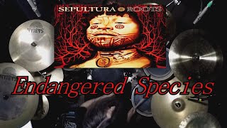 Sepultura - &quot;Endangered Species&quot; Drum Cover