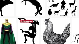 ApprendrelaconceptiondelogodansAdobeIllustrator-2016-ThierryDambermont720