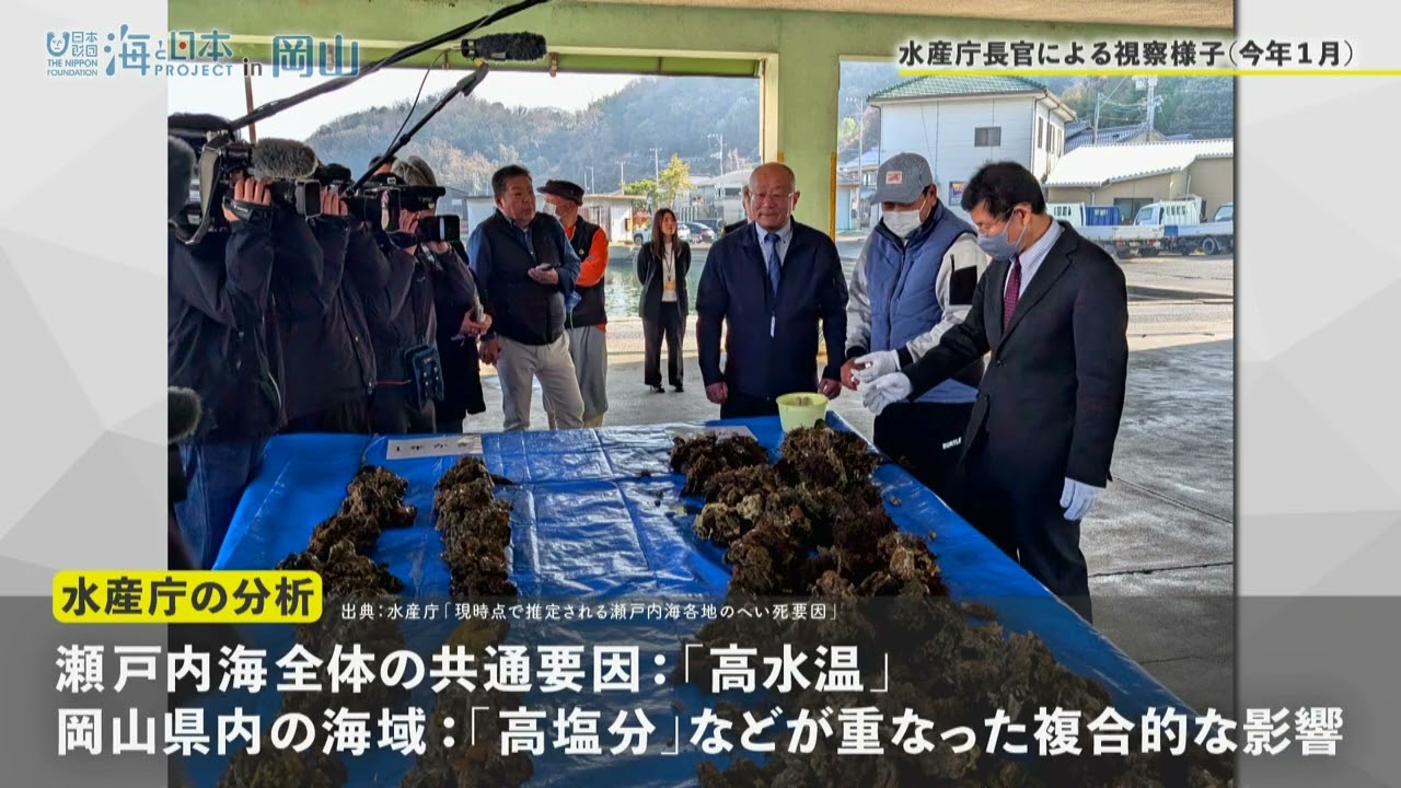 海と日本プロジェクトin岡山 海取材動画