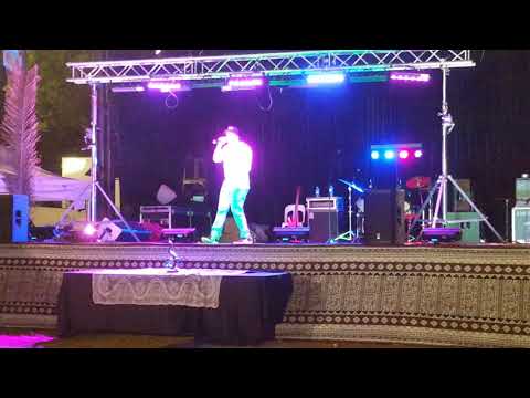 E Zee performing live at Sydney Pacifica festival 2017