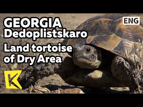 【K】Georgia Travel-Dedoplistskaro[조지아 여행-