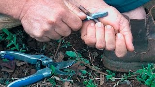 Miniatura do vídeo