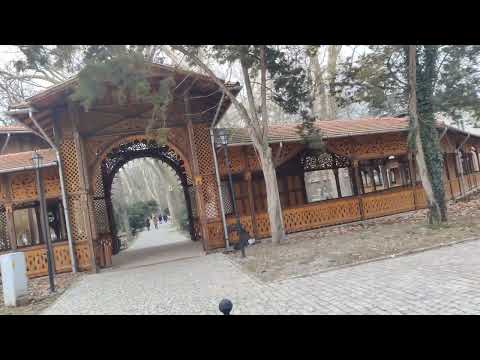 Beautiful Buzias Park at Romania #park #beautiful #viralvideo