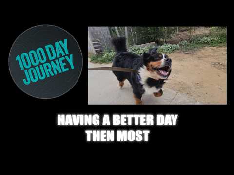 1000 Day Journey 0960 Having a Better Day than Most