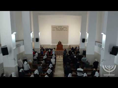 2022-02-13 Domenica Mattina - Fr Gemelli - Fr Mondello - Daniele cap 4 vers 27