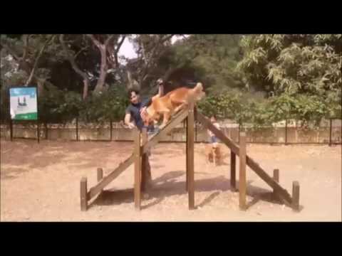 SAL, VIVE Y DISFRUTA