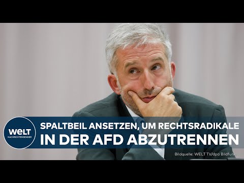 BORIS PALMER: „Mein Vorschlag wäre, die AfD zu testen und ihr begrenzte Verantwortung zu übertragen“