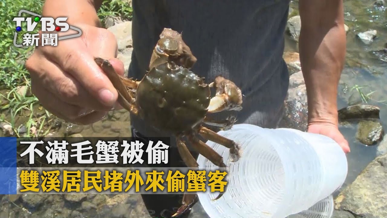 不滿毛蟹被偷 雙溪居民堵外來偷蟹客