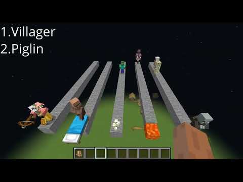 Which Mob is faster..? Minecraft Mob Race