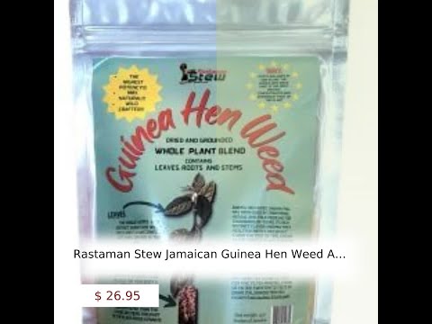 Rastaman Stew Jamaican Guinea Hen Weed Anamu Tea Leaves Stems and Roots Grounded and Blended Wilc...