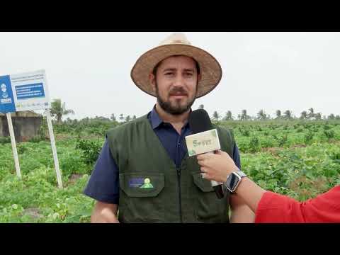 SERGIPE RURAL - PROGRAM 19 - 2nd season